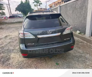 Lexus RX 350 2010 Gray