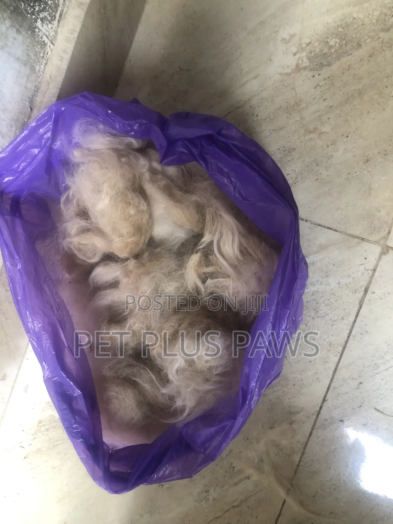 Home Service Pet Grooming