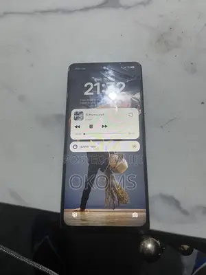 Xiaomi 13 Pro 256 GB Blue