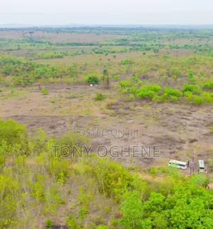 Acres Hectares of Plantain Farmlands for Sale in Odeda Lga, Ogun