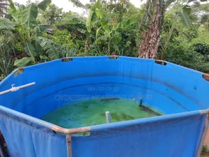 Foreign Collapsible 1000capacity Fish Pound