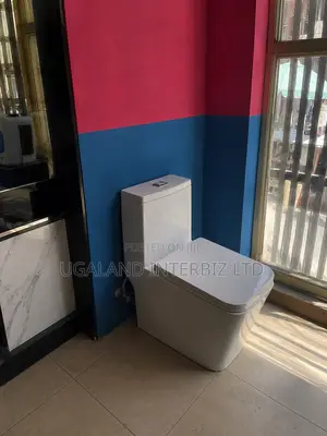 Modern White Toilet