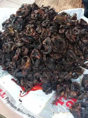 Neat Wholesale Ebiyi Fish (Budget-Friendly Standard Carton)