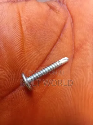 Self Drilling Screw4. 2x50mm
