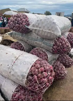 Heavy-weight Fresh Onions (Full Wholesale Bags - All Sizes)