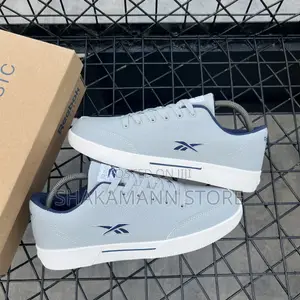Original Reebok Slice Grey Blue Accents