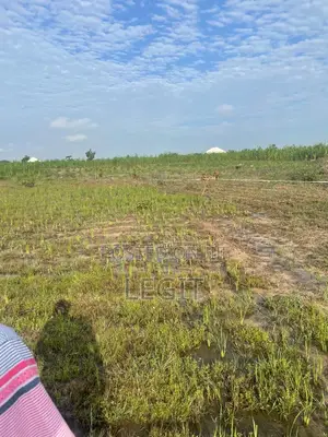 Land For Sale 3080sqm Cofo Agis
