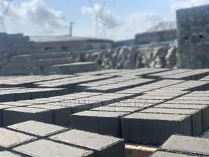 Interlocking/Paving Stone Manufacturer And Supplier