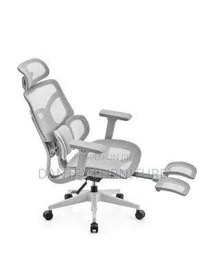 Executive Office Chair With Adjustable Hand and Back Support