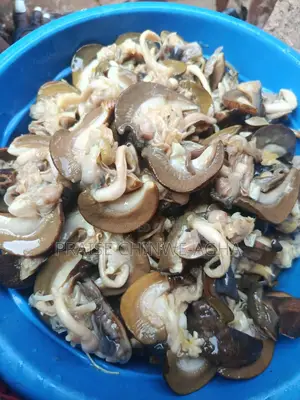 Neatly Processed Dried Snails, This Price Is for Jumbo 100pcs, G(Null)