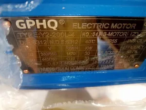 Original Electric Motor