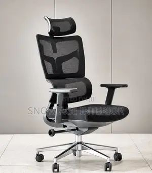 Executive Ergonomic Mesh Chair