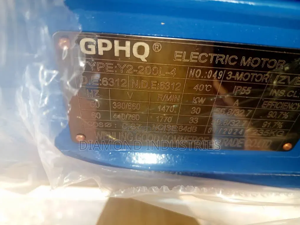 Industrial Electric Motor