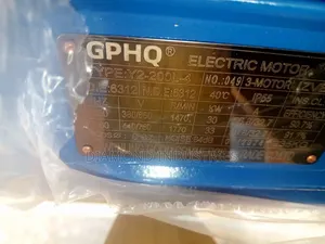 Industrial Electric Motor