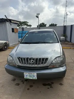Lexus RX 2002 Gray