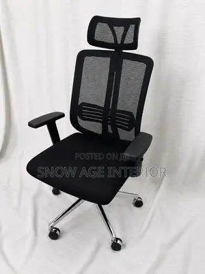Aeromesh Executive Chair (Office Chair)