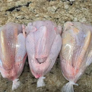 Come And Collect Your Eggs And Chicken