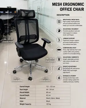 Aeromesh Executive Chair (Office Chair)
