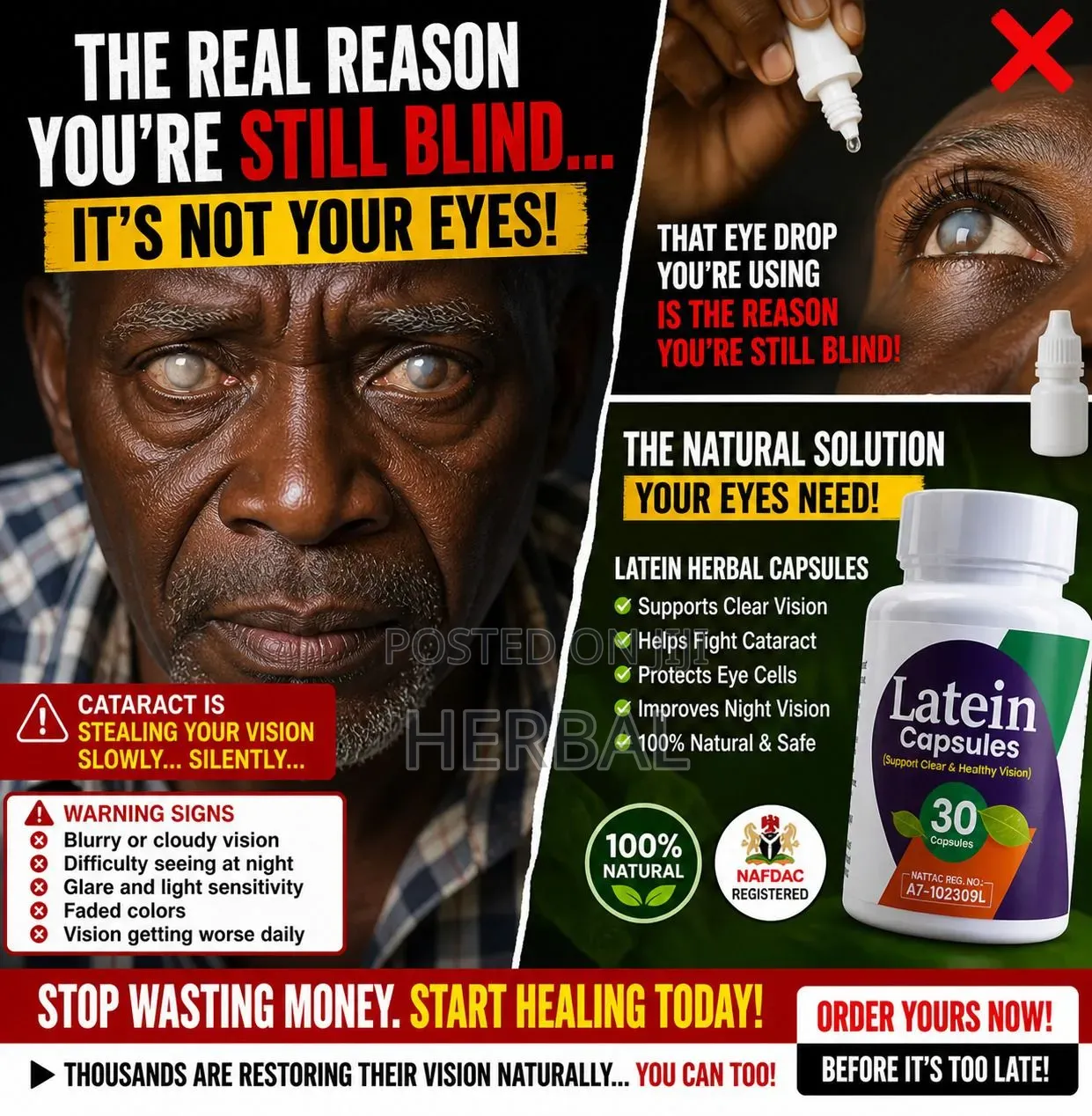 Latein Herbal Capsule