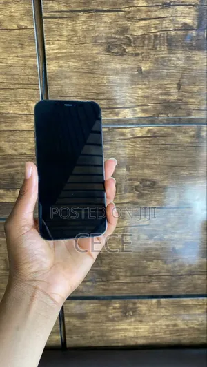 Apple iPhone 11 Pro Max 256 GB Gray