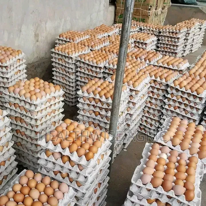 Fresh Farm Eggs