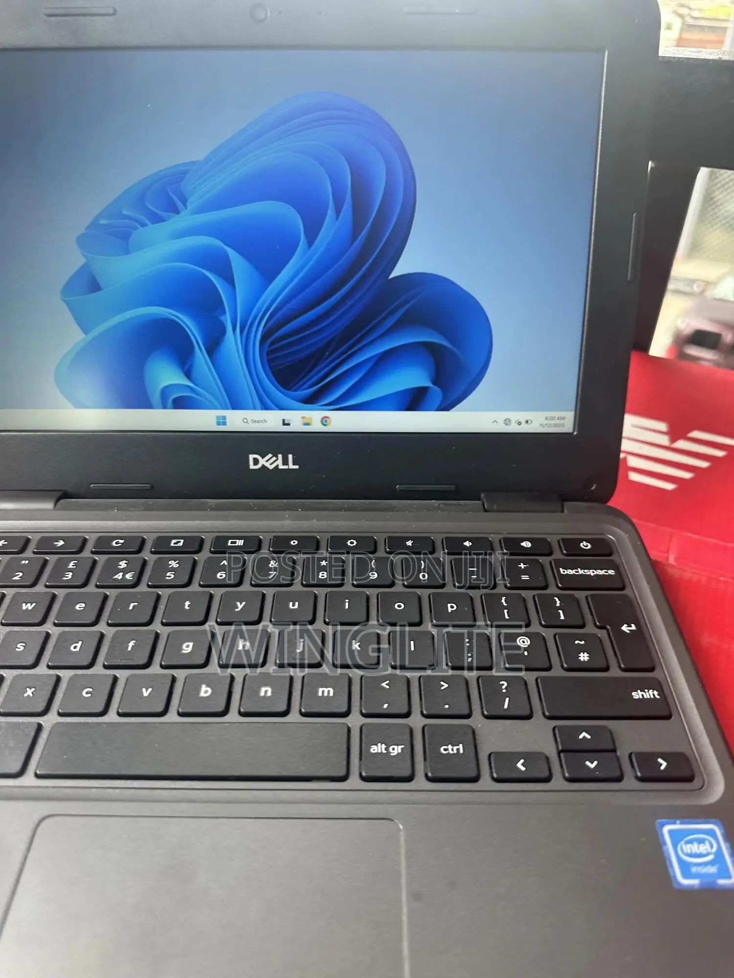 Laptop Dell Chromebook 3100 4GB Intel Celeron SSD 16 GB