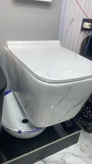 Marble-Like Suspended Conceal Wc