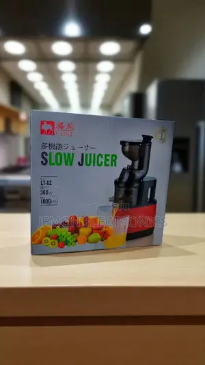 300w Slow Juicer Machine – Low Noise Fruit Vegetable Extractor 100ml