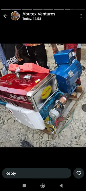 Rixuan 1115 Diesel Generator Basic
