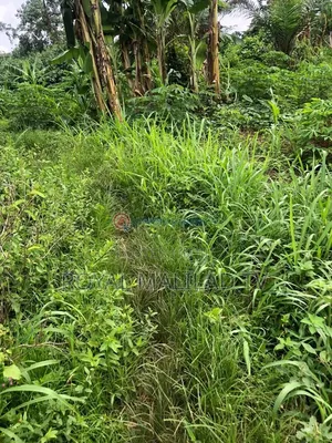 3 Acres of Land