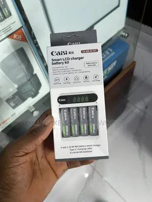 Caisi Smart Rechargeable Battery and Charger