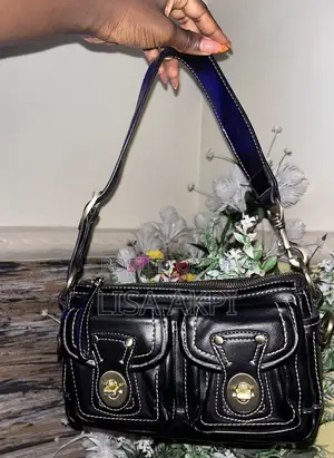 Thrifted Bags