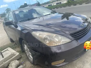 Lexus ES 300 2004 Gray