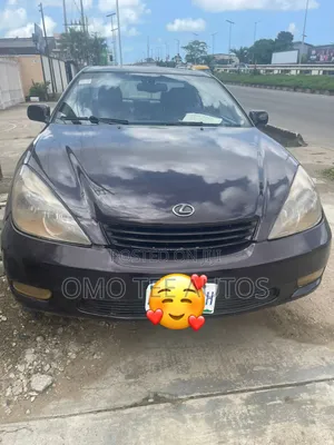 Lexus ES 300 2004 Gray