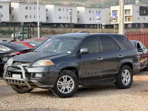Acura MDX 2005 Gray