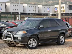Acura MDX 2005 Gray