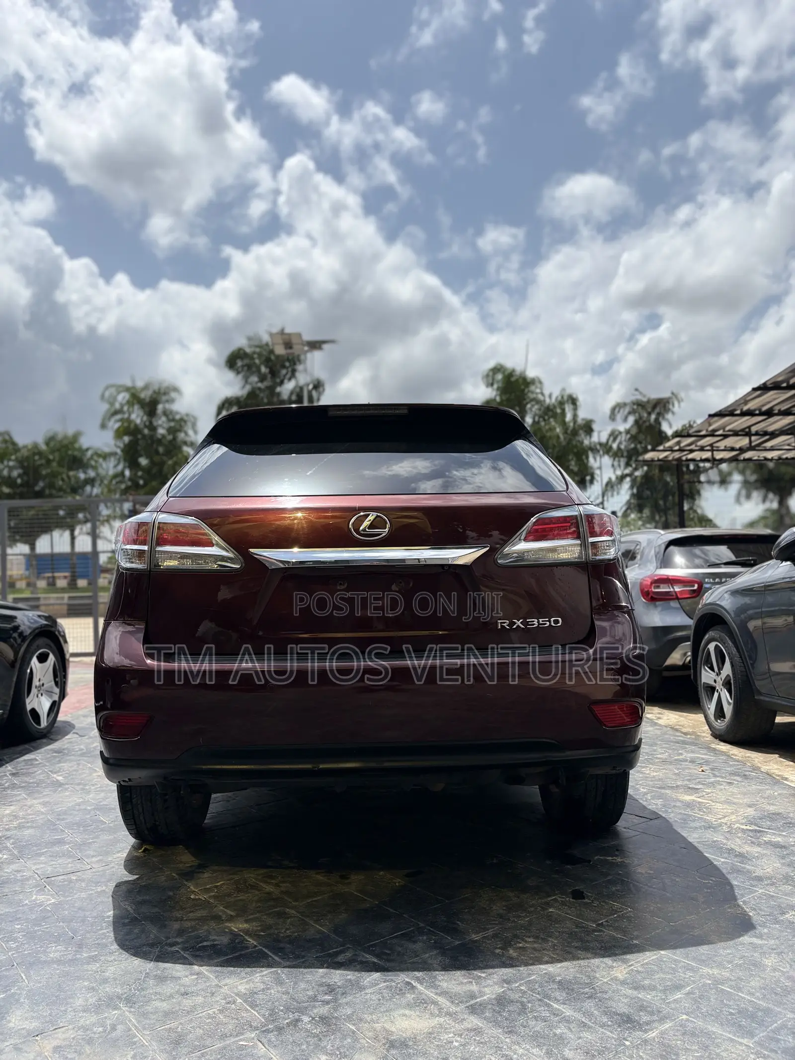 Lexus RX 2013