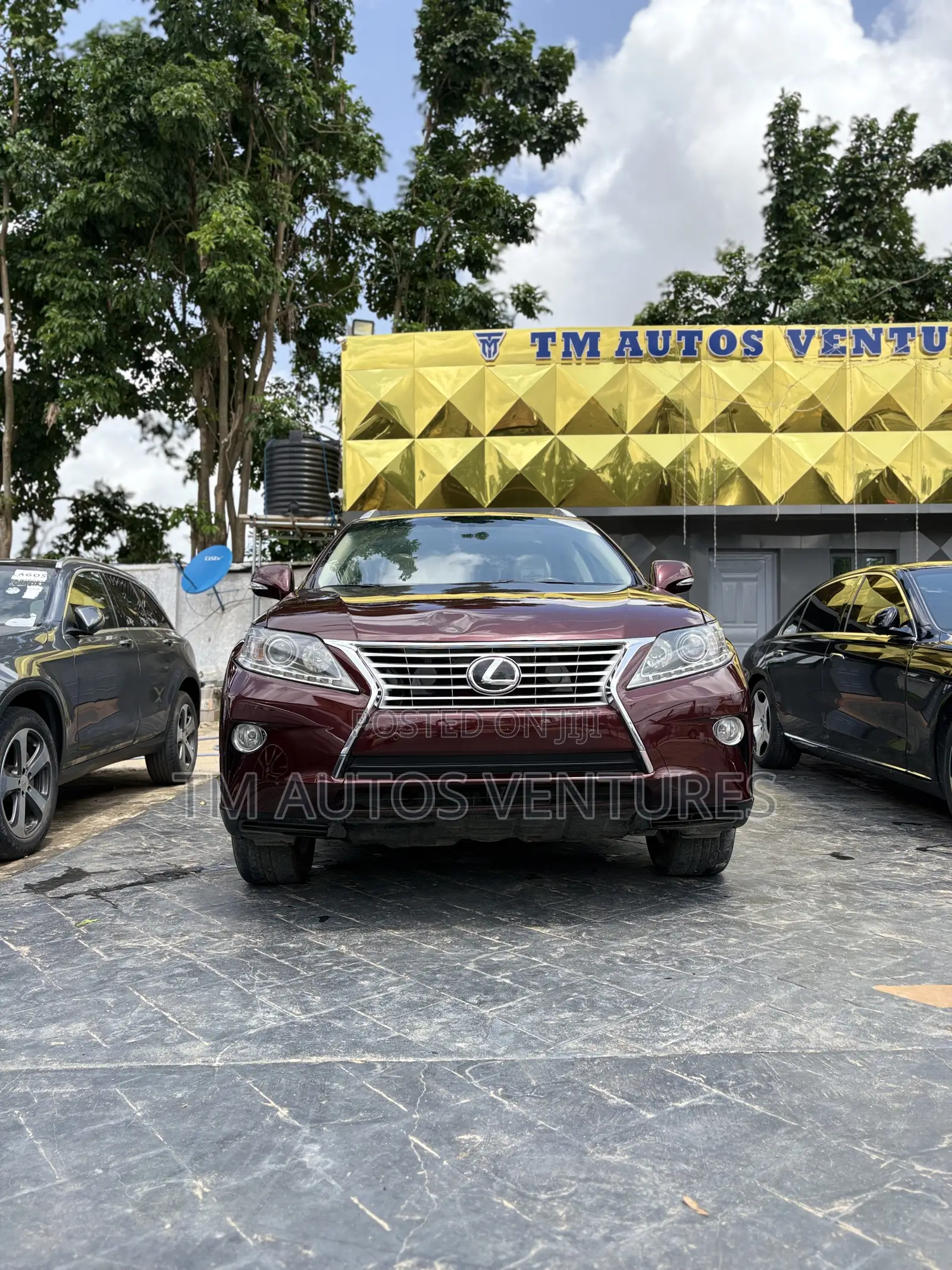 Lexus RX 2013