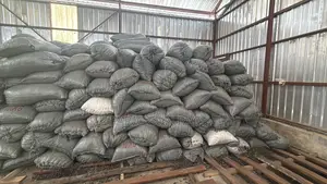 Shea Nut (Grade A) For Shea Butter