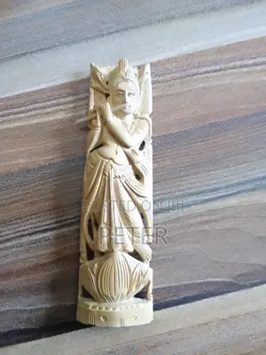 Indian Mini Idol