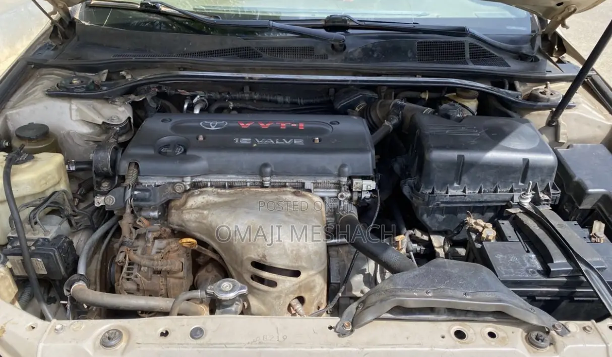Toyota Solara 2006 Gold