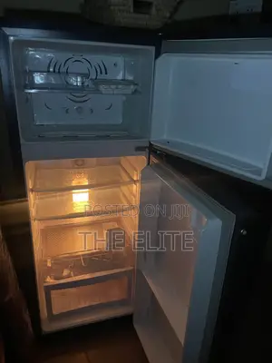 Double Door Standing Freezer