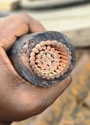 500mm Coleman Electric Cable