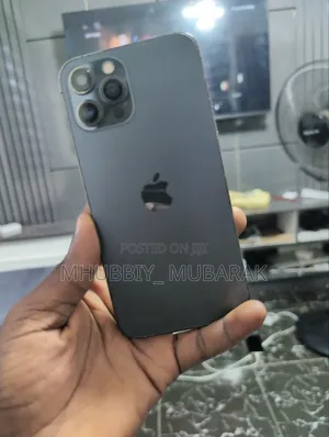 Apple iPhone 12 Pro Max 128 GB Gray