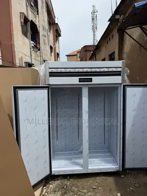 Industrial Double Door Freezer