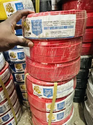 6mm Lion Single Core PVC Wire