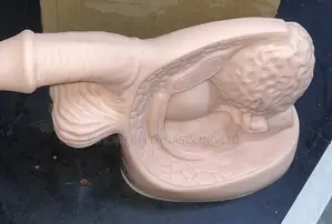 Organs of Reproductive System