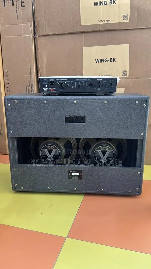 Blackstar Lead Guitar Combo With U700 Amplifier