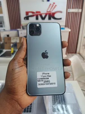 Apple iPhone 11 Pro Max 256 GB Gray