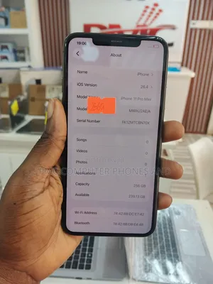 Apple iPhone 11 Pro Max 256 GB Gray